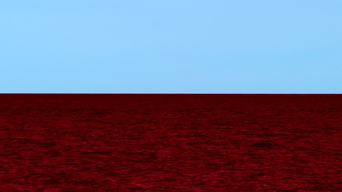 Thumbnail for video: SOS03