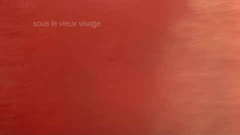 Thumbnail for video: visage